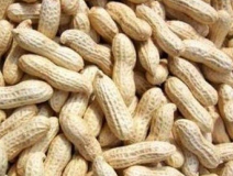 水煮花生含甲醛？實測多家燒烤店結(jié)果太可怕！