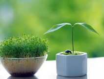 小護(hù)士中毒性肝病，都是新房甲醛等污染惹的禍