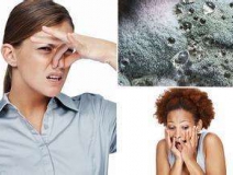 家里有異味怎么辦？科學除味、治理甲醛就對了！