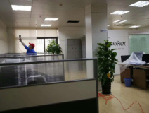 除甲醛公司選擇的要求有哪些？