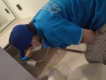 地毯也會引起甲醛超標嗎？