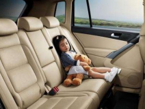 新車除味什么最有效？