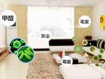 網(wǎng)上的除甲醛好辦法真的有效嗎？原理是什么