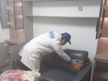 哪種方法除甲醛才是真正有效的呢？