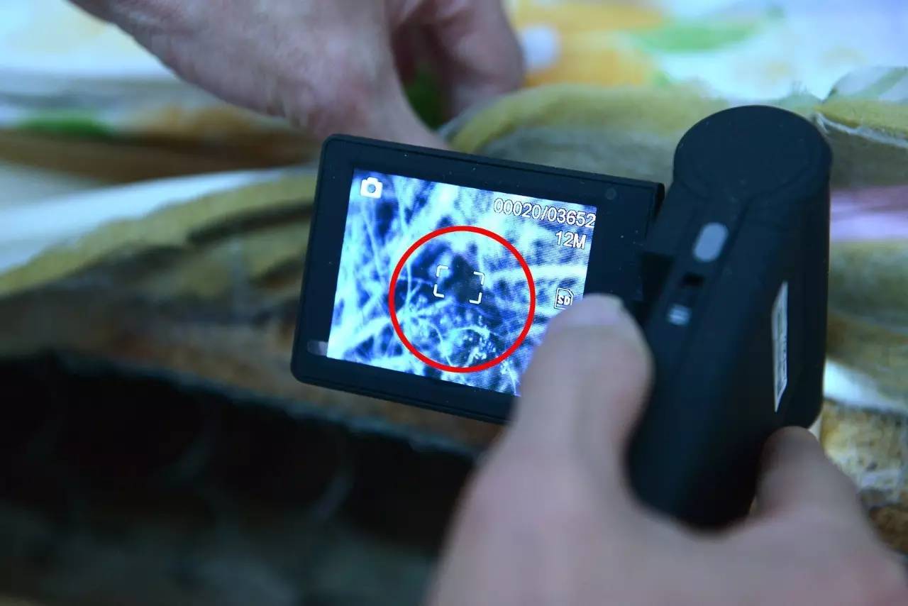 南京美女睡了10年的床墊，掀開后把全家人都嚇傻了……