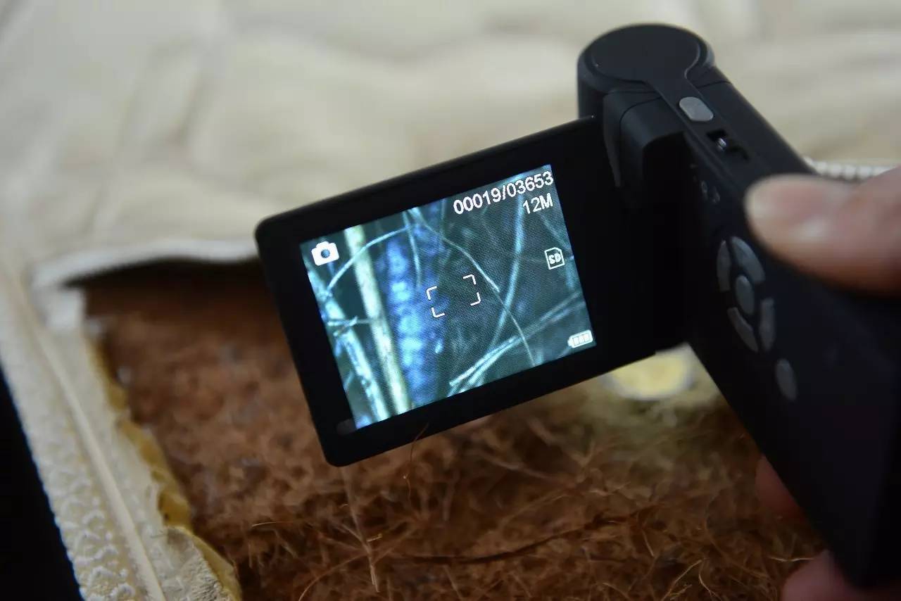 南京美女睡了10年的床墊，掀開后把全家人都嚇傻了……