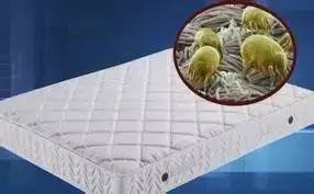 南京美女睡了10年的床墊，掀開后把全家人都嚇傻了……