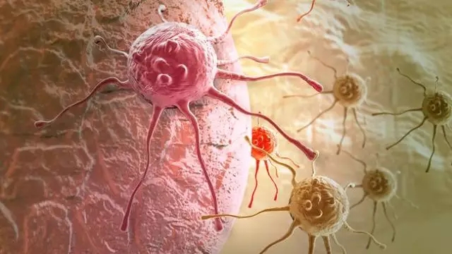 癌癥、白血病越來越多，是因為時代在進步而導(dǎo)致的嗎？