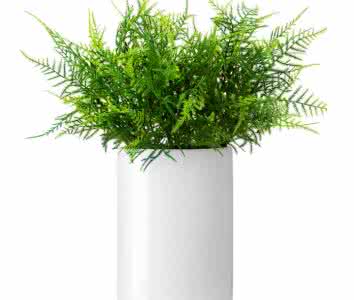 除了找除甲醛公司尋求幫助，還有什么辦法可以去毒