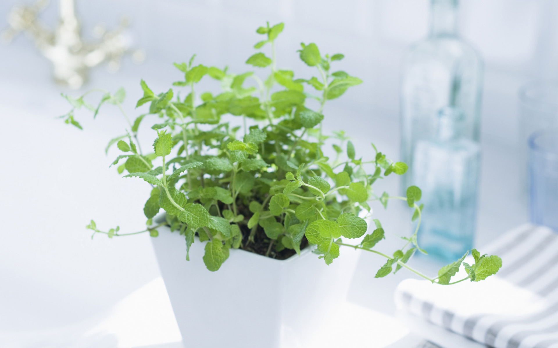 央視***主持人朱迅因癌癥離開大屏幕，這7個壞習慣最容易得癌癥！